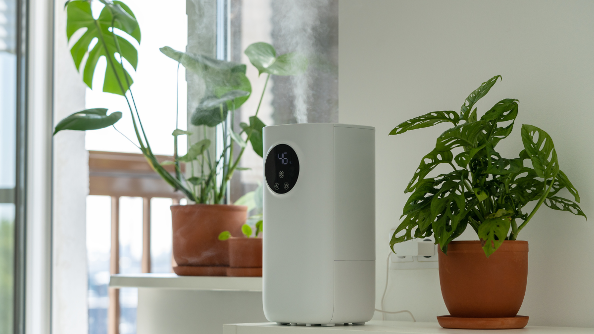 A white humidifier with a digital humidity display, placed on a white surface alongside potted green plants in a well-lit room with a window in the background.