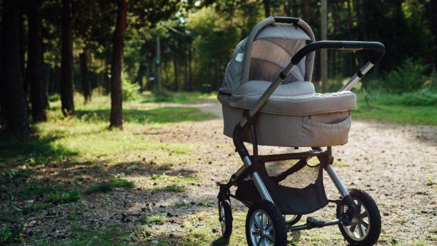 Top Stroller Picks from Albee Baby: Premium Collection Review