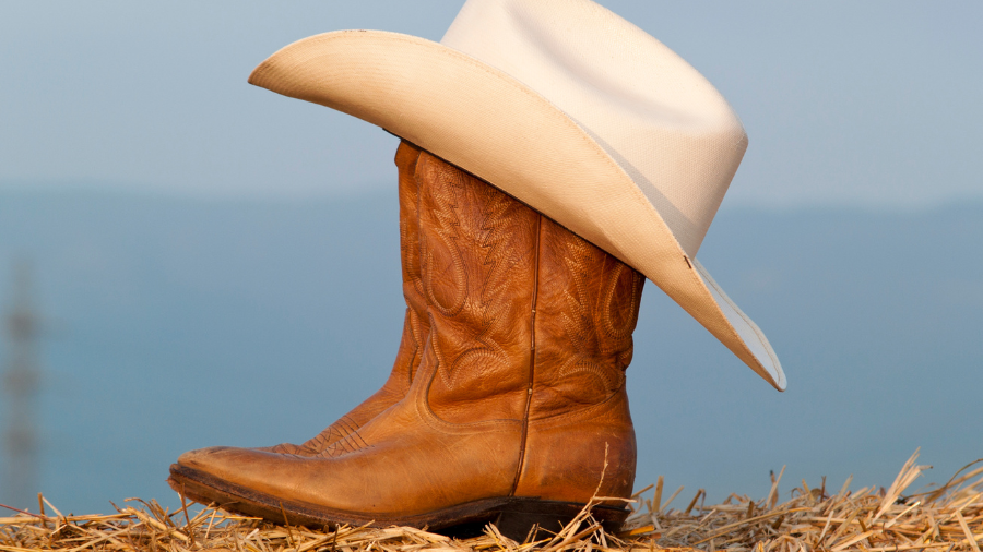 Fresh Cowboy Boots from Ariat: Premium Western Collection Review