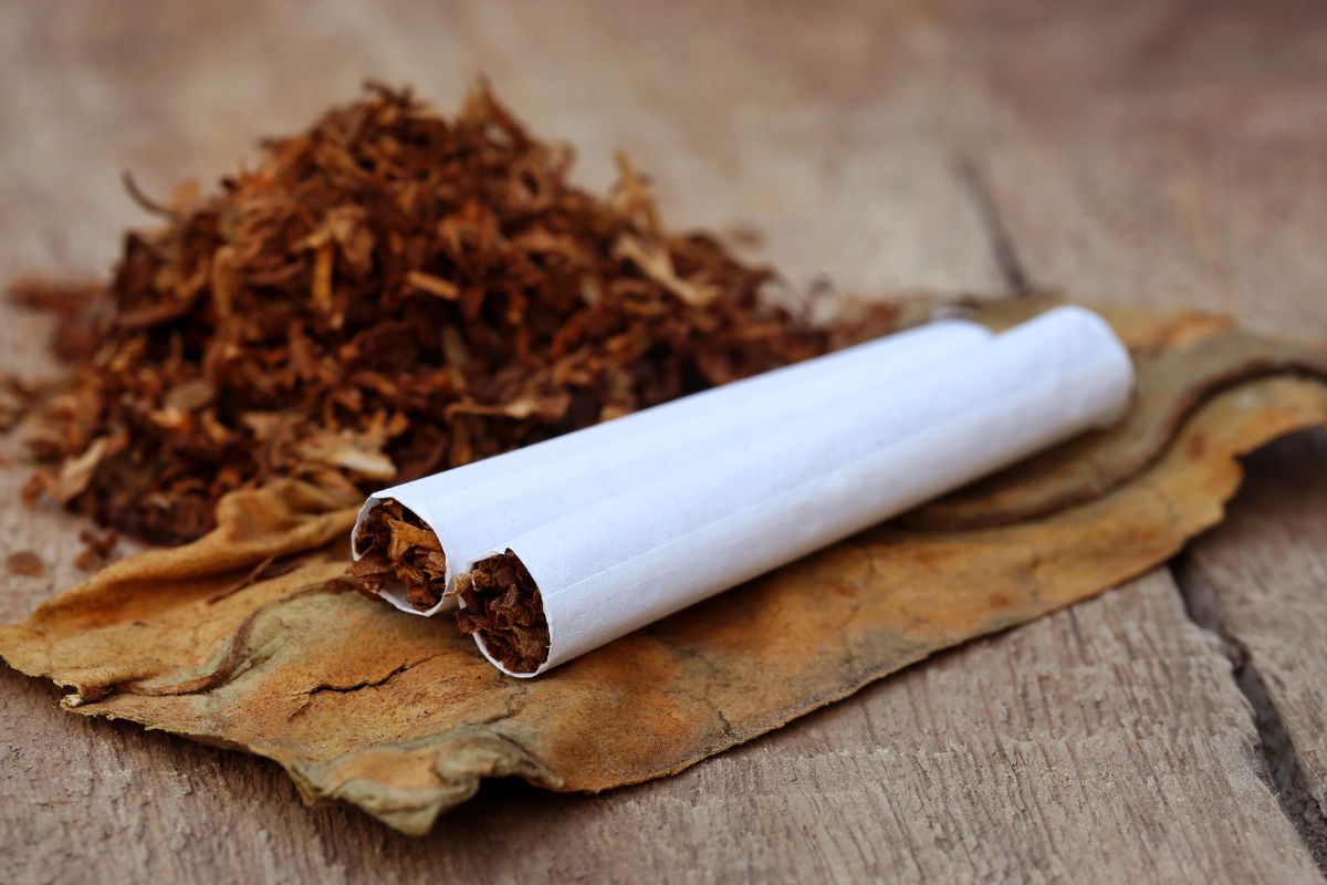 Best Top Tobacco Brands on BnB Tobacco: Premium Selections for 2025