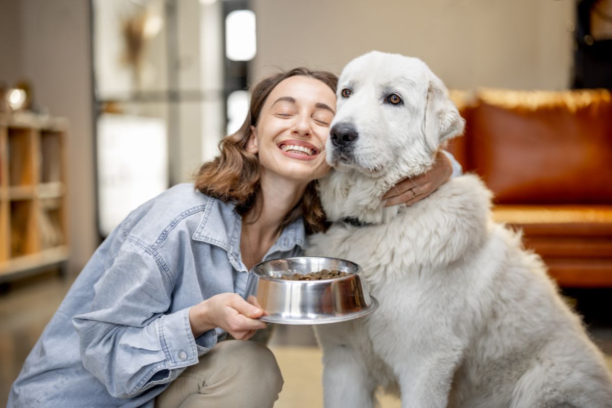 ORIJEN Original Formula Dog Food: A Premium Choice for Your Canine