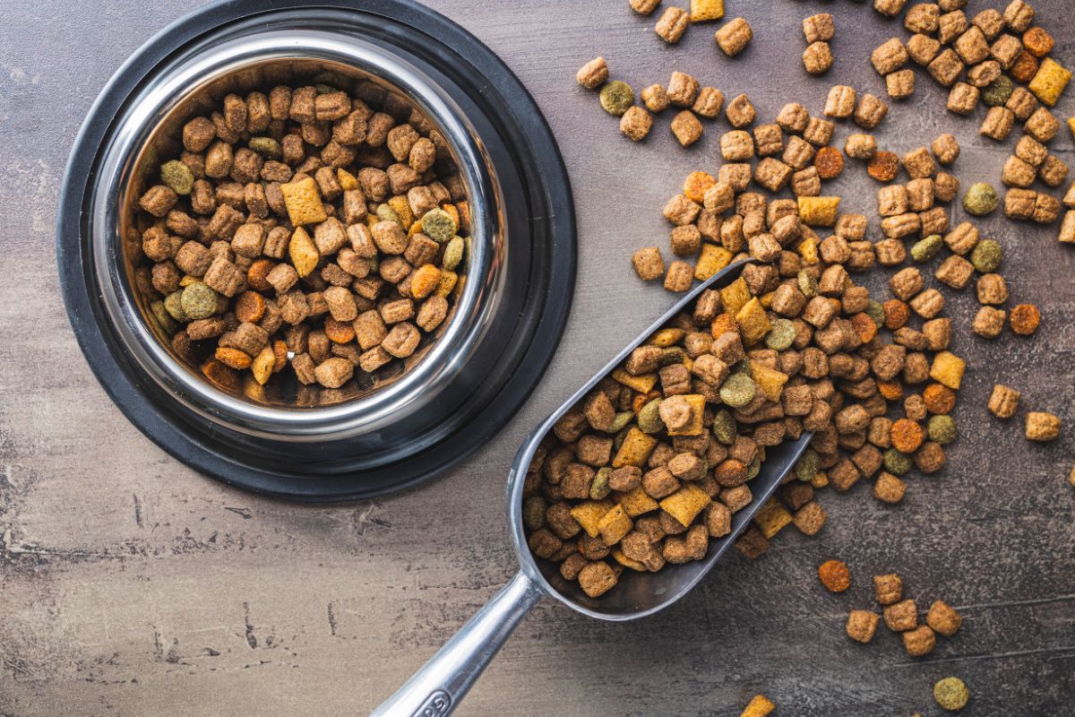 Petco.com Dog Food: Complete Guide to Premium Pet Nutrition