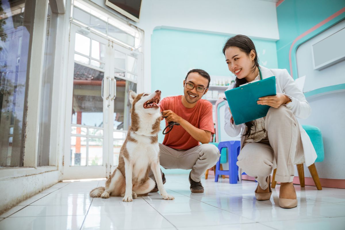 Best Vet Care Dog Products: Top 5 Parasite Prevention Solutions
