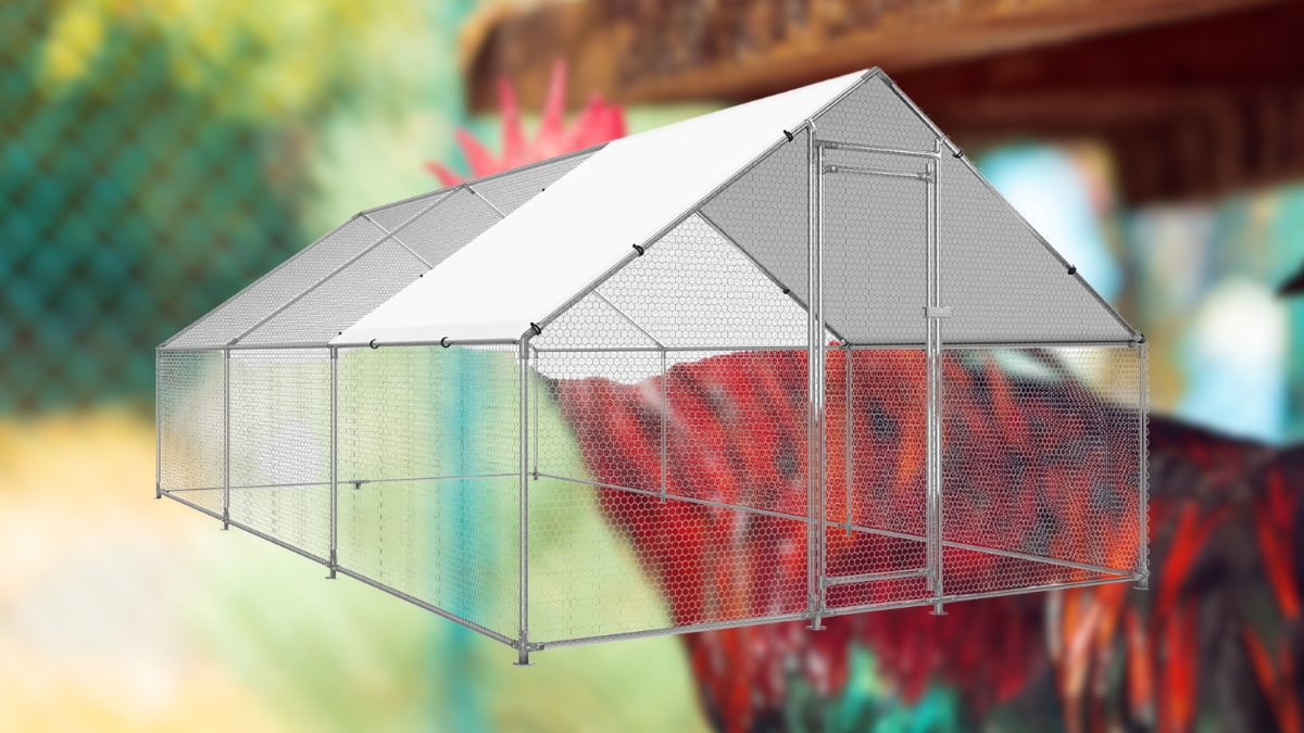 How the HEYTOWN Metal Chicken Coop Makes Outdoor Raising Easier