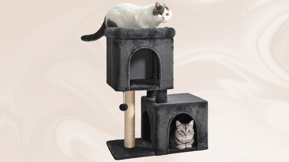Amazon Basics 30-Inch Cat Tree Tower: A Smart, Space-Saving Choice for Indoor Cats
