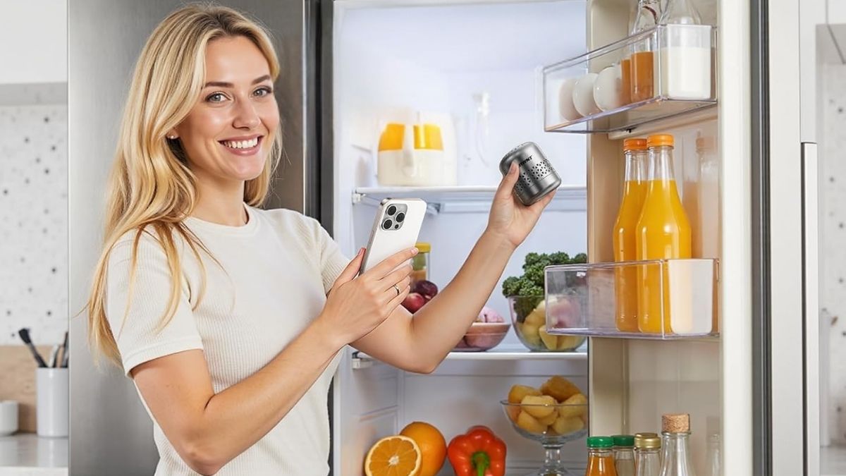 FLAWNT Fridge Deodorizer Explained: A Long-Term Answer to Everyday Odors