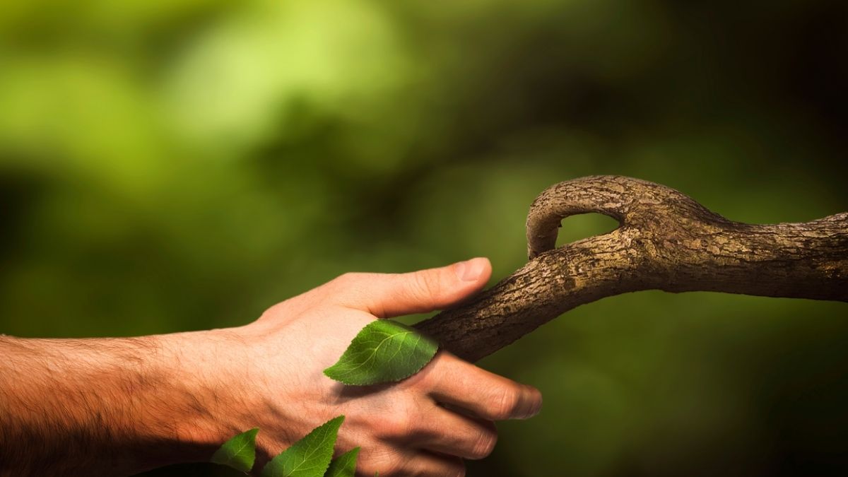 Responsible Technology, Sustainable Future: How Alibaba Is Building a Smarter and Greener Digital Economy